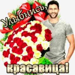 розы