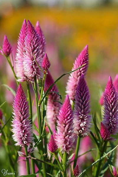 6f4e83e89f407c95bb5df724dfe7295b