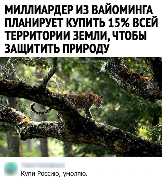 rzdwNYZqmQc