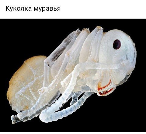 image (3) (13)