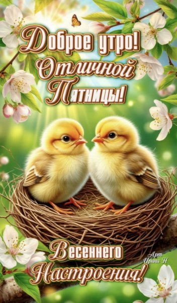 bcf30b7a737ac92c399aa8a7473ae