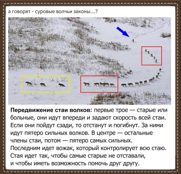IMG 20171204 174749 38