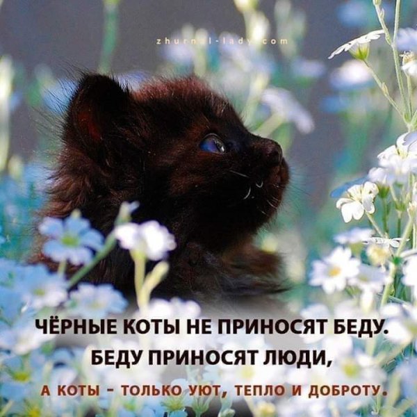 13-14-49-206284173 887141348537319 5301087119012827795 n