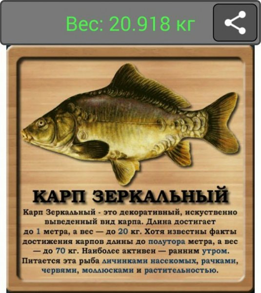 Карп зеркальный