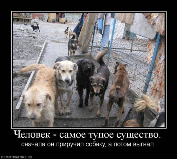 Demotivator (32)