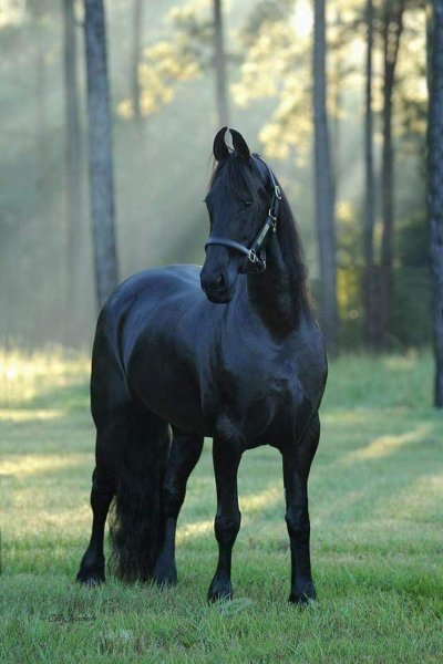 c4048480a3ab5669ecce641d04e15