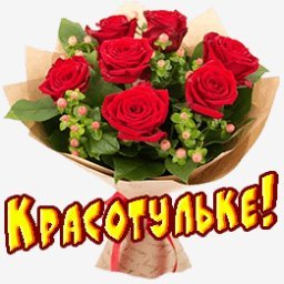 розы
