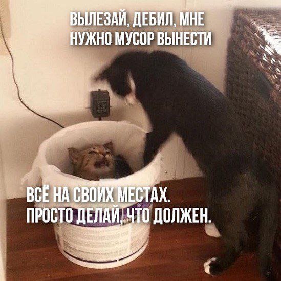 picture_412948365