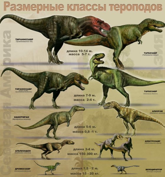 Сравнение