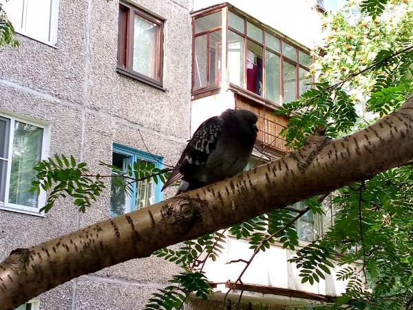 Расселся, понимаешь...