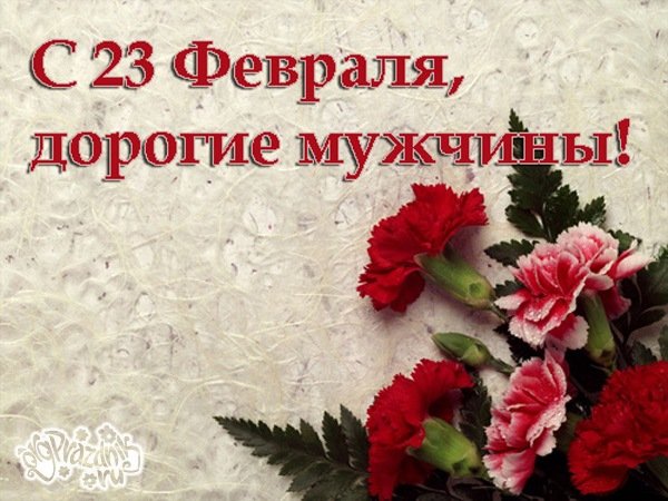 23fevralya12
