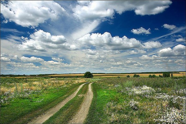 ПРИРОДА РОССИИ