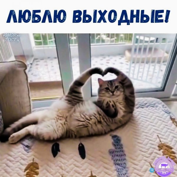 Выходные!