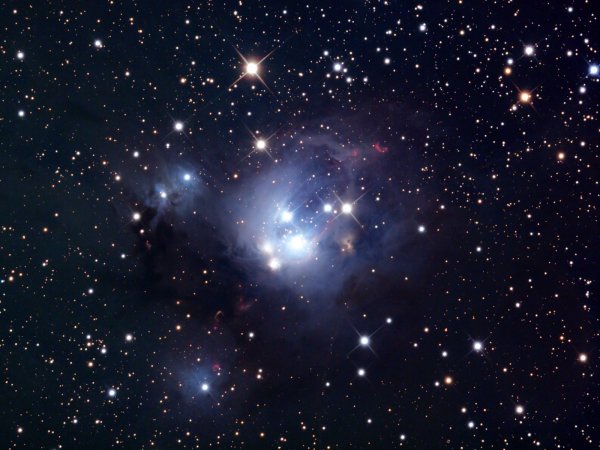 zvyozdnoe skoplenie ngc 7129 zvezdy kosm