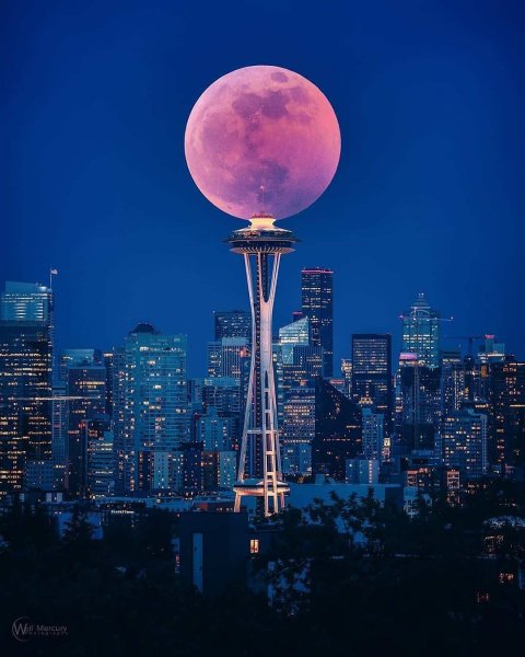 94EE805B-06C2-462D-8E00-3D9C1697D3DB