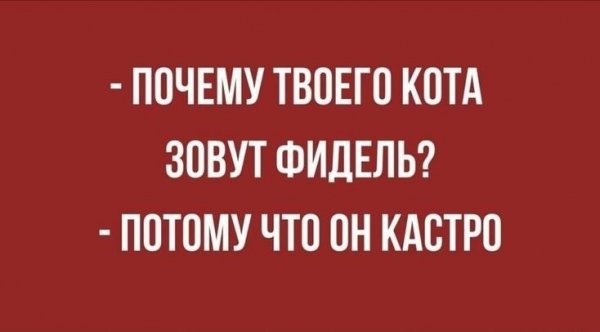 IMG 20260331 123919