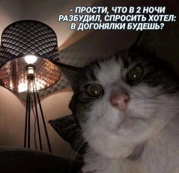 13caccef8f 19926685
