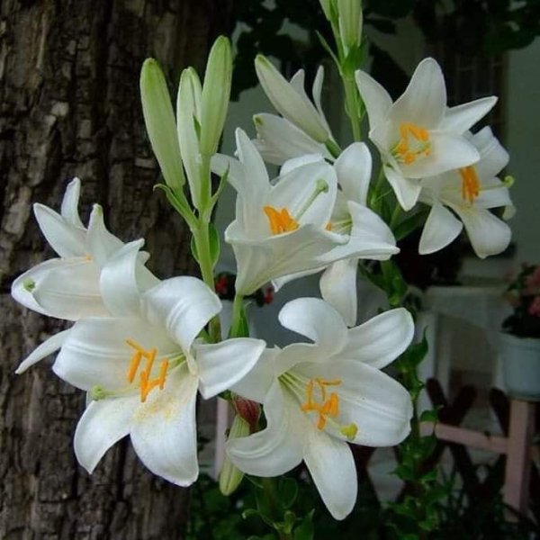 IMG-00f53f0cb725bff734d577316ddc6d99-V