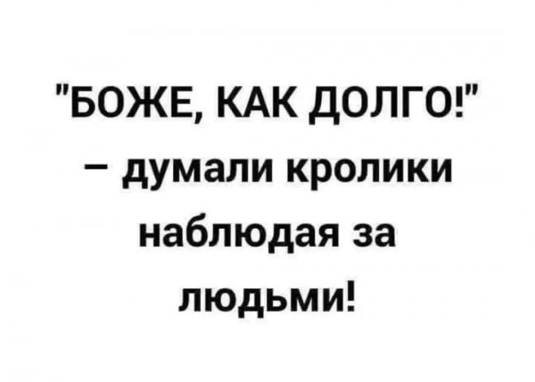 Gallery 1755196845764