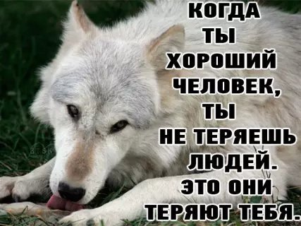 picture_212809990