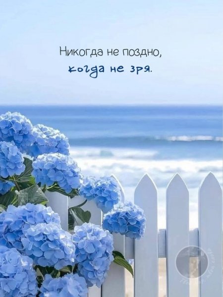 KMTO7ob3sWhSeAKTfWY4FseCyREl3BQsvkThcxL3sWMnKpJVWXsy5VFojKCv
