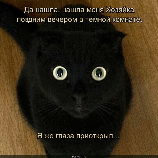 Да! ))