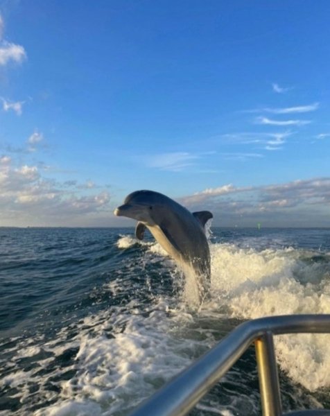 Screenshot 20260114-212418 Chrome