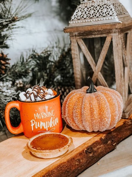 Тыква осень оранжевый какао