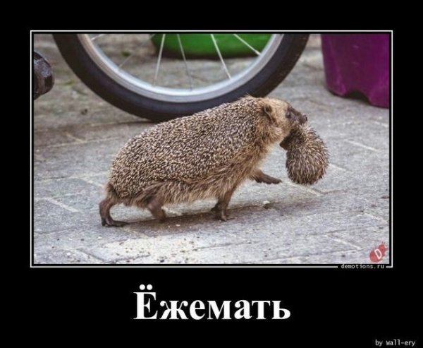 Ab5806061dbaee21d5aaddc2807a53e3