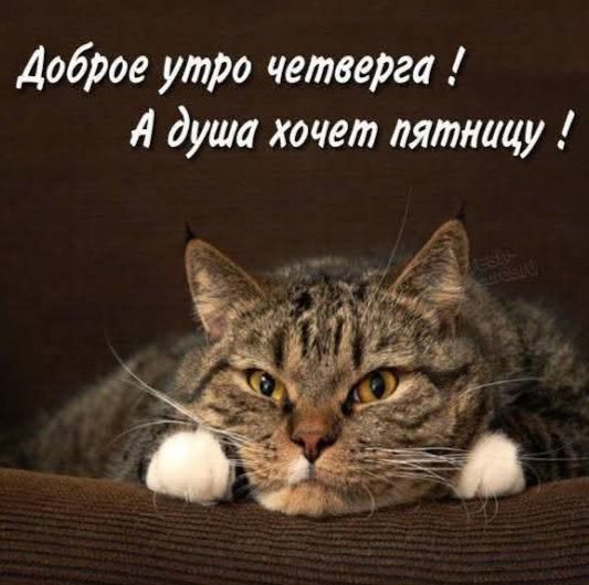 Четверг!