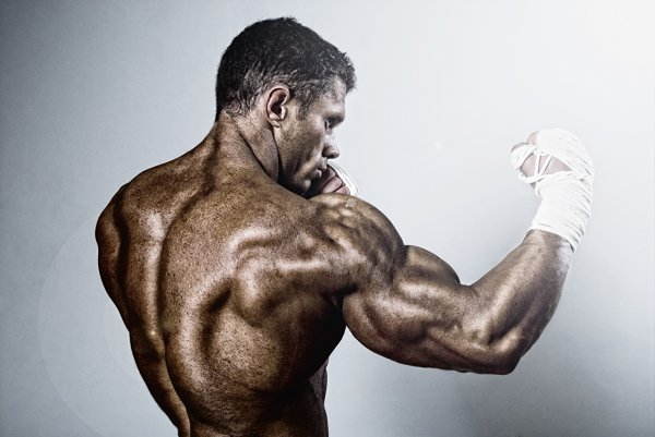 Boxing Men training back 464422