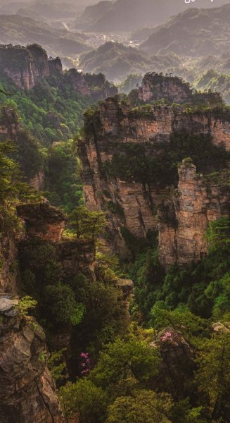 Screenshot 20251201-022143 One UI Home