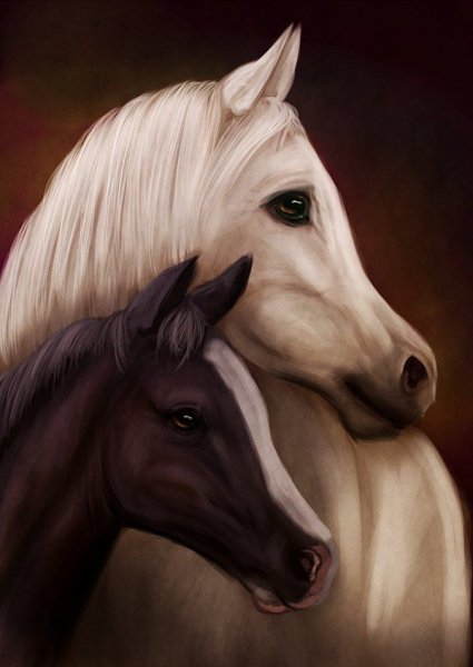 horse-love красивый art!