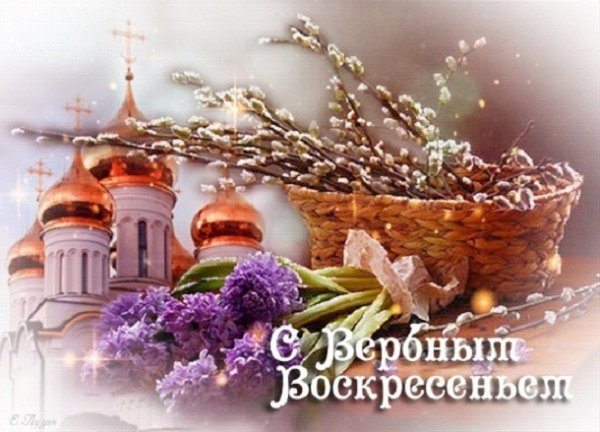 IMG-20200412-WA0003