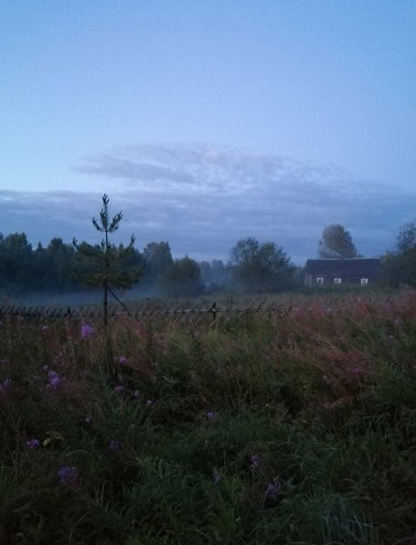 picture_397139032
