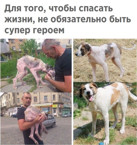 Спасать жизни