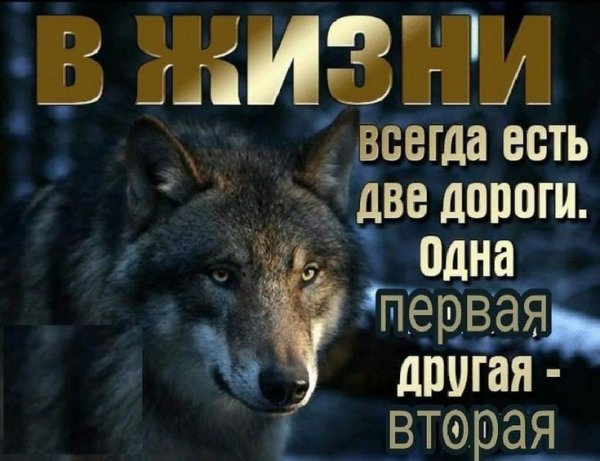 0b1c7c31b53716440e37d27728c2765e