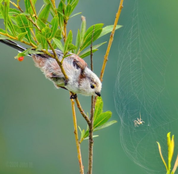 -5417961387340195394 121