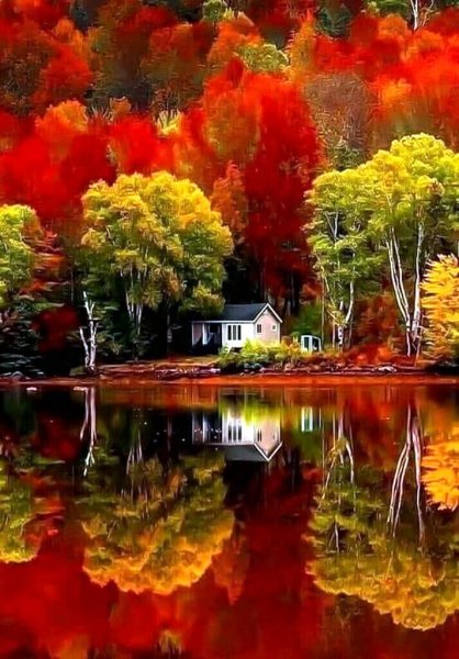 image (3) - 2020-10-28T012939.013