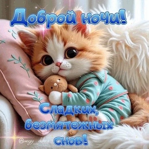 IMG 20260331 201550 122