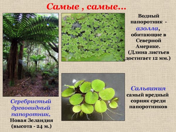 Это интересно