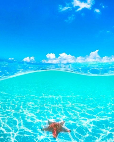 ПОДВОДНЫЙ МИР