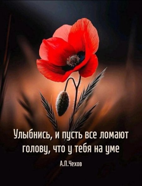 picture_408574853