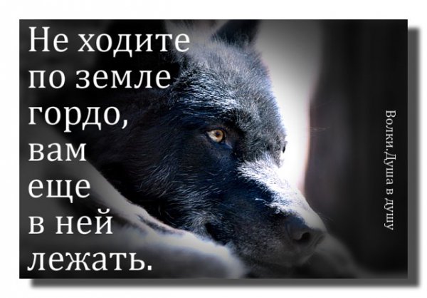 Земля