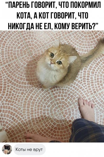 dbdd79 otbornyj-jumor-v-kartinkah-i-memah-s-nadpisjami-3