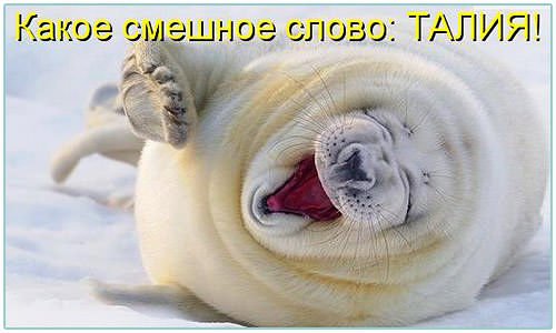 IMG-20141125-WA0092