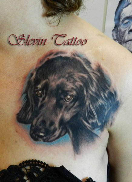 Tattoo (5062)