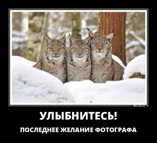 Улыбнитесь