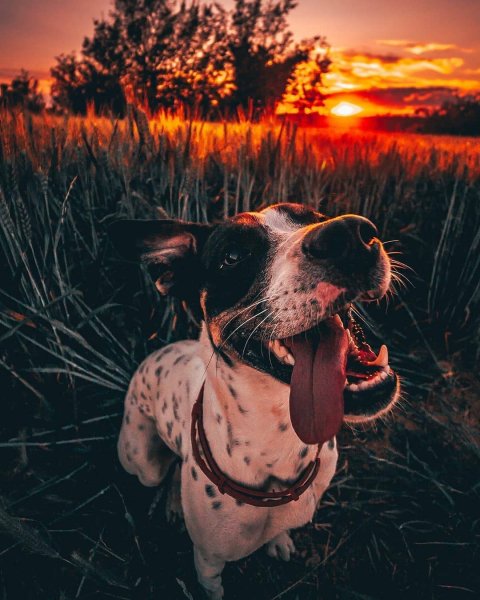 45E0604D-C9ED-4B53-BC78-3A3A56E89ACF