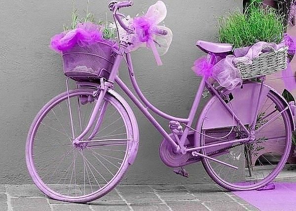 getImage3044